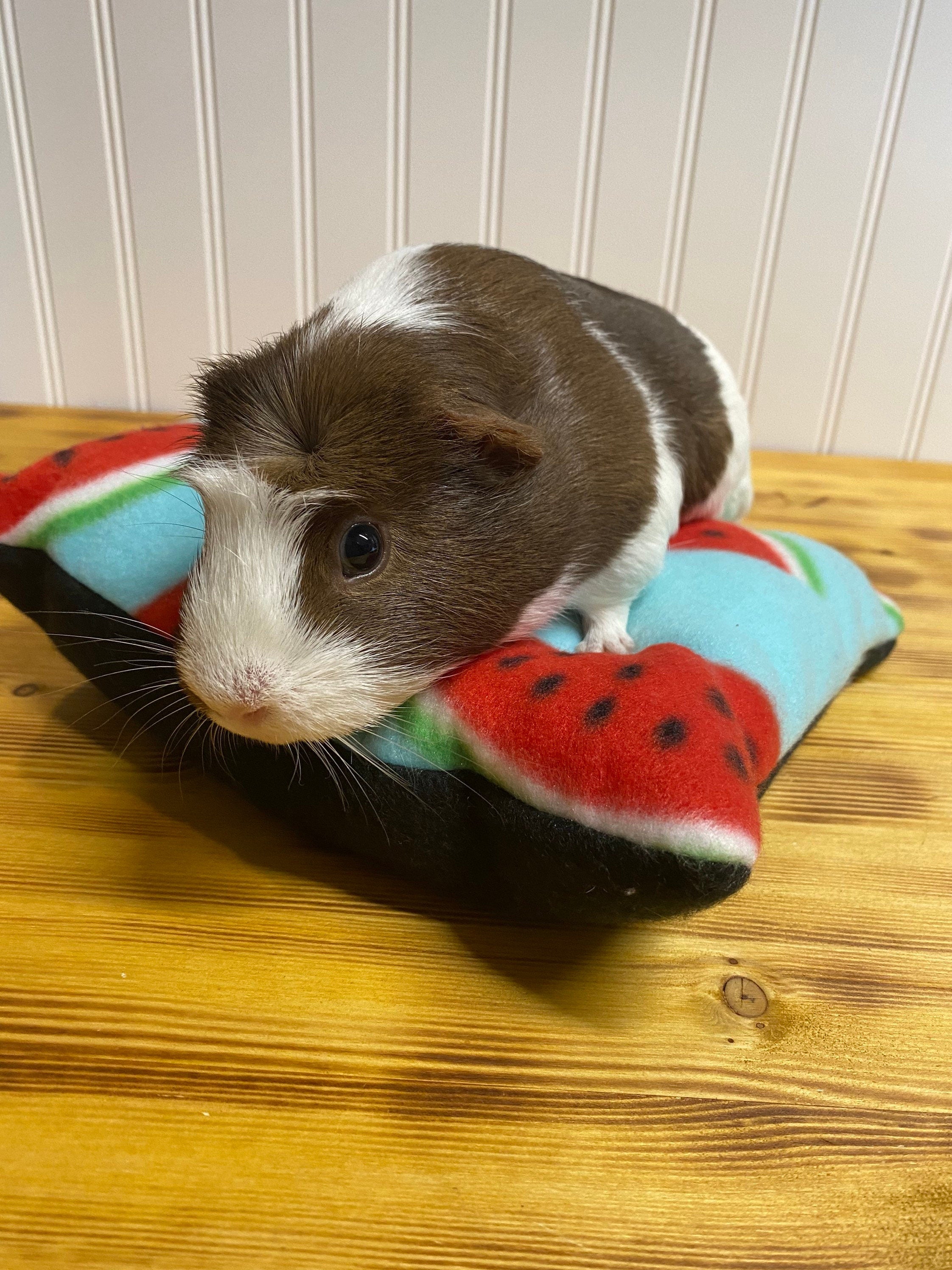 Guinea Pig Pillow Bed | Hedgehog | Small animal pillow bed | Custom