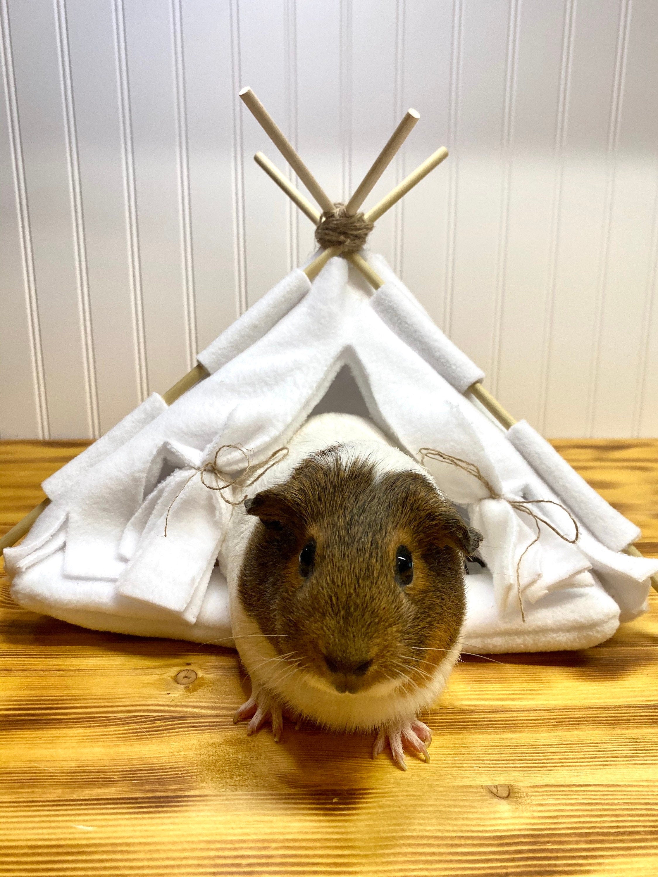 Guinea pig teepee bed White | teepee | Guinea pig toy | Fleece guinea pig accessories | guinea pig bed